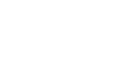 Bray International Sponsor Logo
