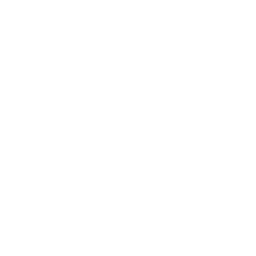 Houston Hot Chicken Sponsor Logo