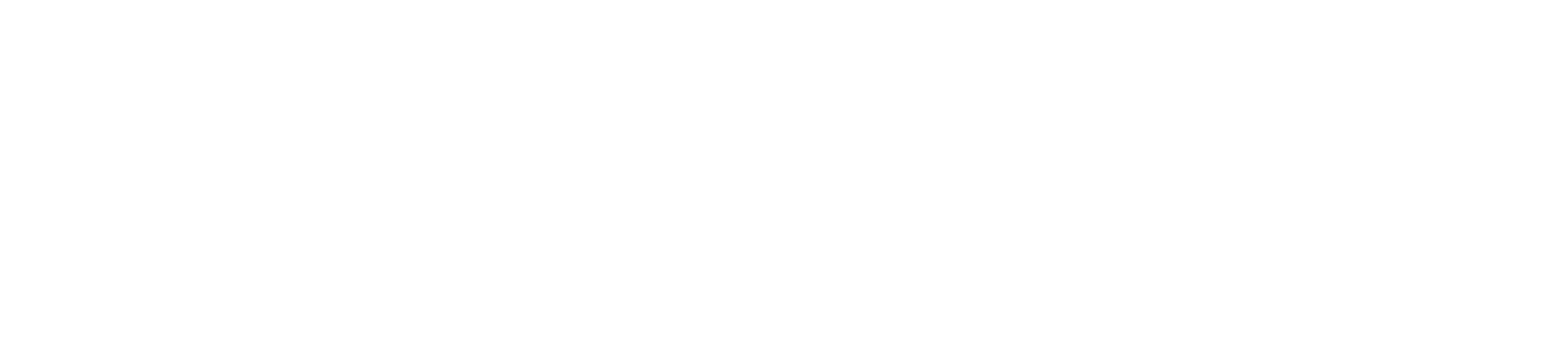 Novetus Sponsor Logo