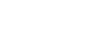 Bray International Sponsor Logo